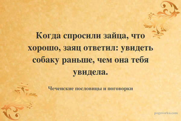 Когда спросили зайца, что хорошо, заяц ответил: увидеть собаку раньше, чем она тебя увидела.