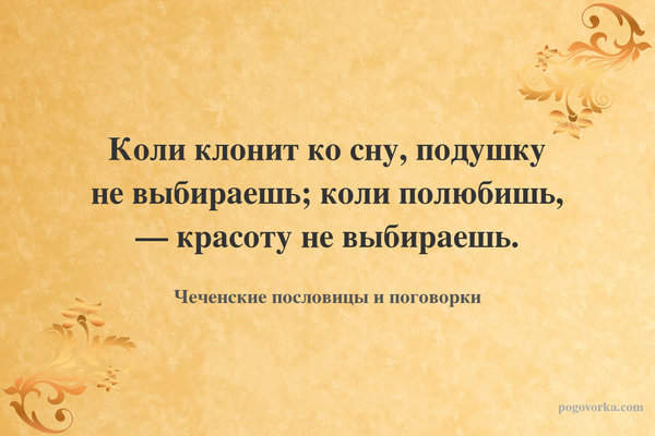 Коли клонит ко сну, подушку не выбираешь; коли полюбишь, — красоту не выбираешь.