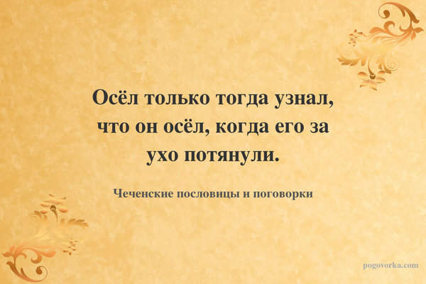 Осёл только тогда узнал, что он осёл, когда его за ухо потянули.