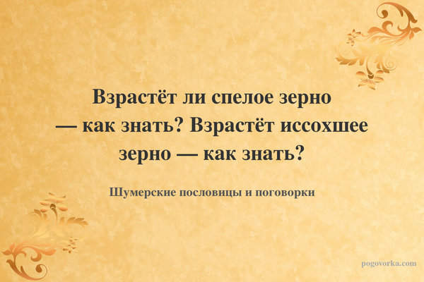 Взрастёт ли спелое зерно — как знать? Взрастёт иссохшее зерно — как знать?