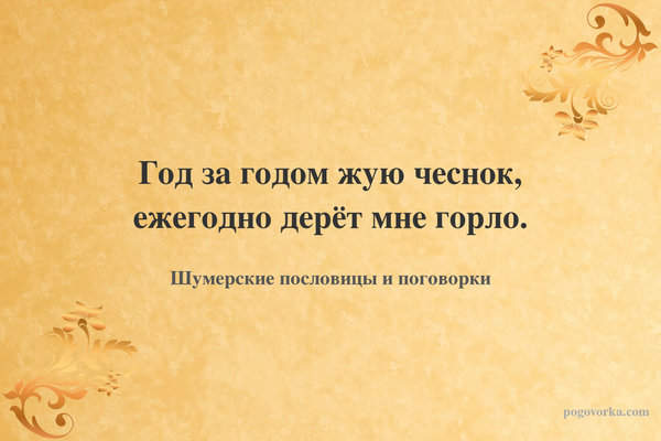 Год за годом жую чеснок, ежегодно дерёт мне горло.