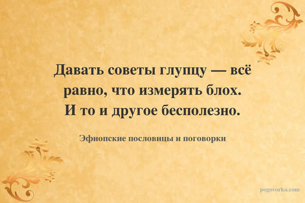 Давать советы глупцу — всё равно, что измерять блох. И то и другое бесполезно.