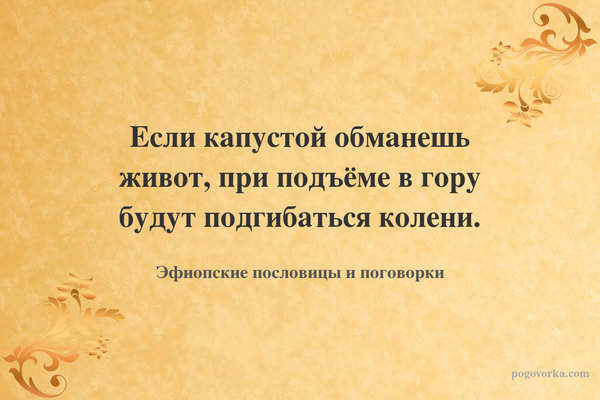 Если капустой обманешь живот, при подъёме в гору будут подгибаться колени.