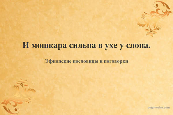 И мошкара сильна в ухе у слона.