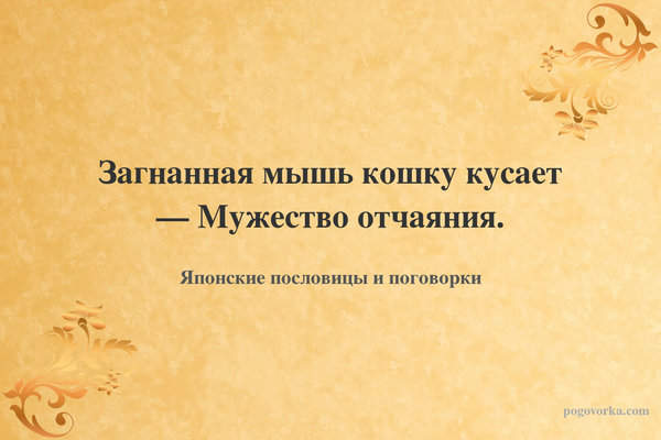 Загнанная мышь кошку кусает — Мужество отчаяния.