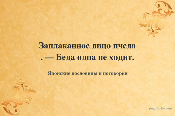 Заплаканное лицо пчела . — Беда одна не ходит.