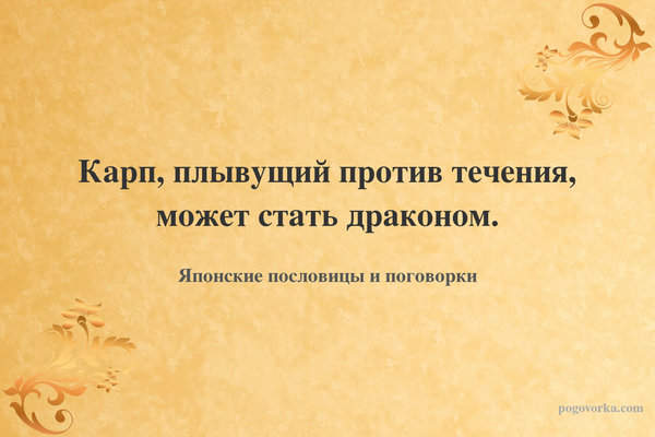 Карп, плывущий против течения, может стать драконом.