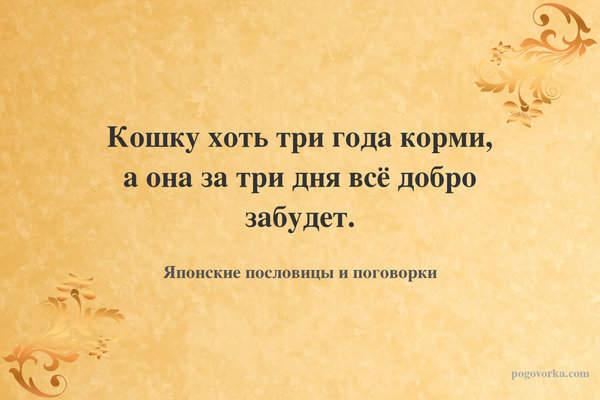 Кошку хоть три года корми, а она за три дня всё добро забудет.