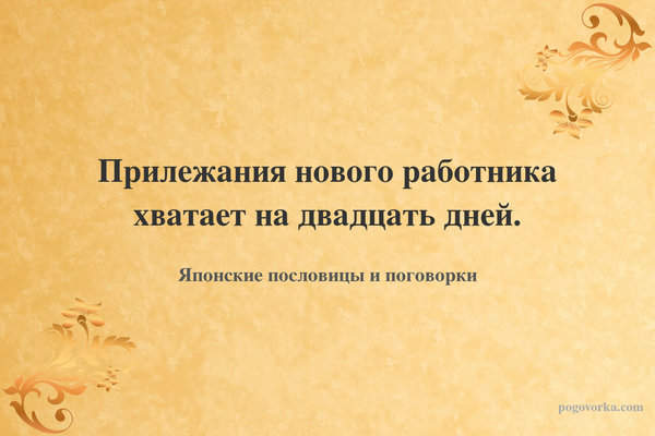 Прилежания нового работника хватает на двадцать дней.