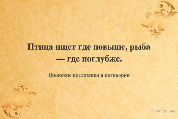 Птица ищет где повыше, рыба — где поглубже.
