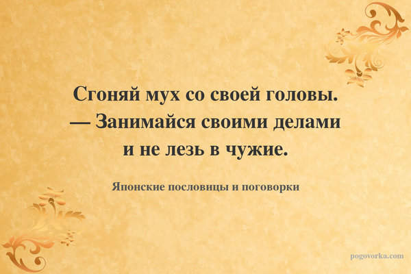 Сгоняй мух со своей головы. — Занимайся своими делами и не лезь в чужие.